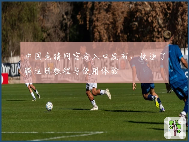 中国竞猜网官方入口发布，快速了解注册教程与使用体验