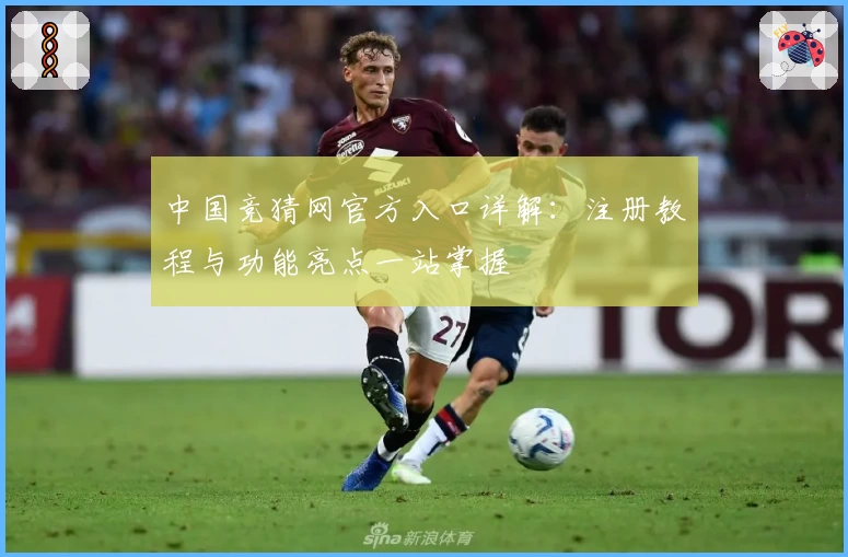 中国竞猜网官方入口详解：注册教程与功能亮点一站掌握